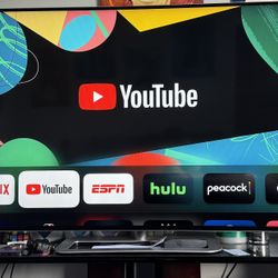 Vizo 55in TV With Surround Sound Setup 