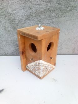 Homemade bird house