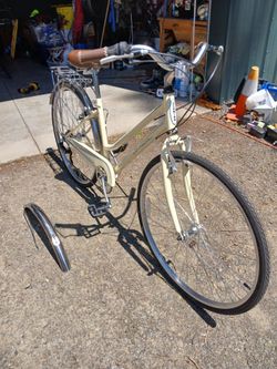 Schwen gateway bike