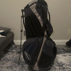 Used Wilson Golf Bag