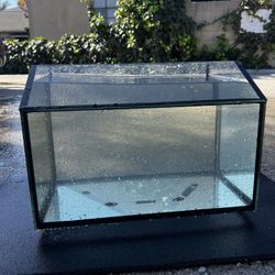 10–12 Gallon Aquarium Setup w/ Filter, 78° Heater & Pump