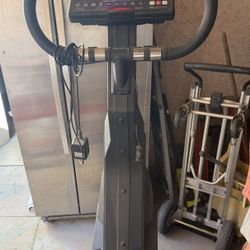 Stair Master Free Climber Machine  