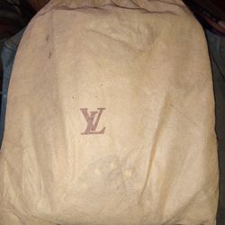 Louis Vuitton Pouch 