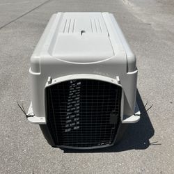 Dog Kennel