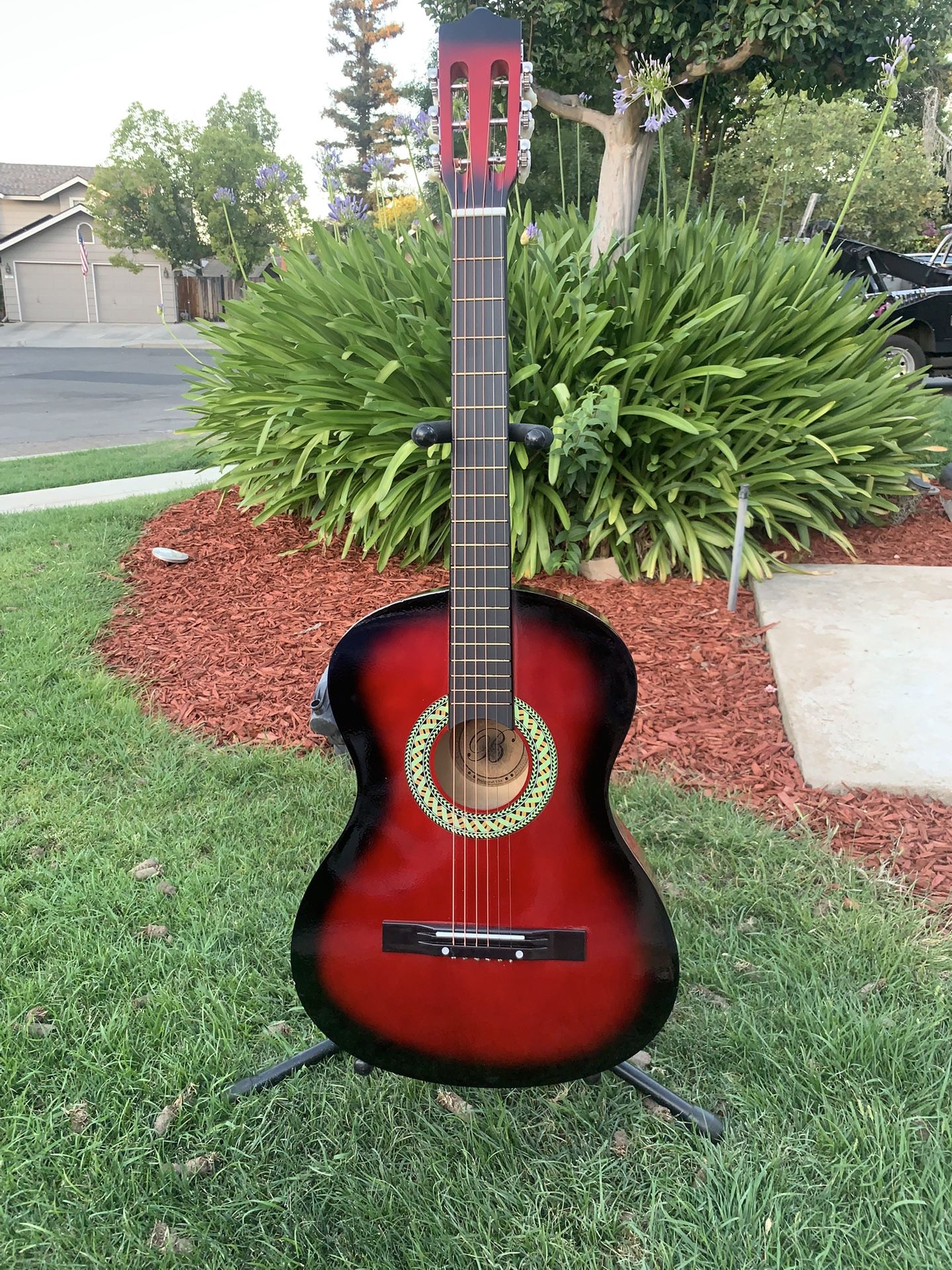 Brand New Guitar