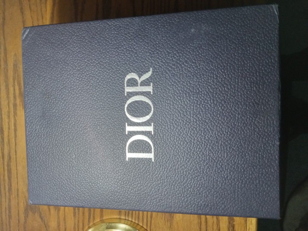 Dior B22 Blue And Grey Shoes.