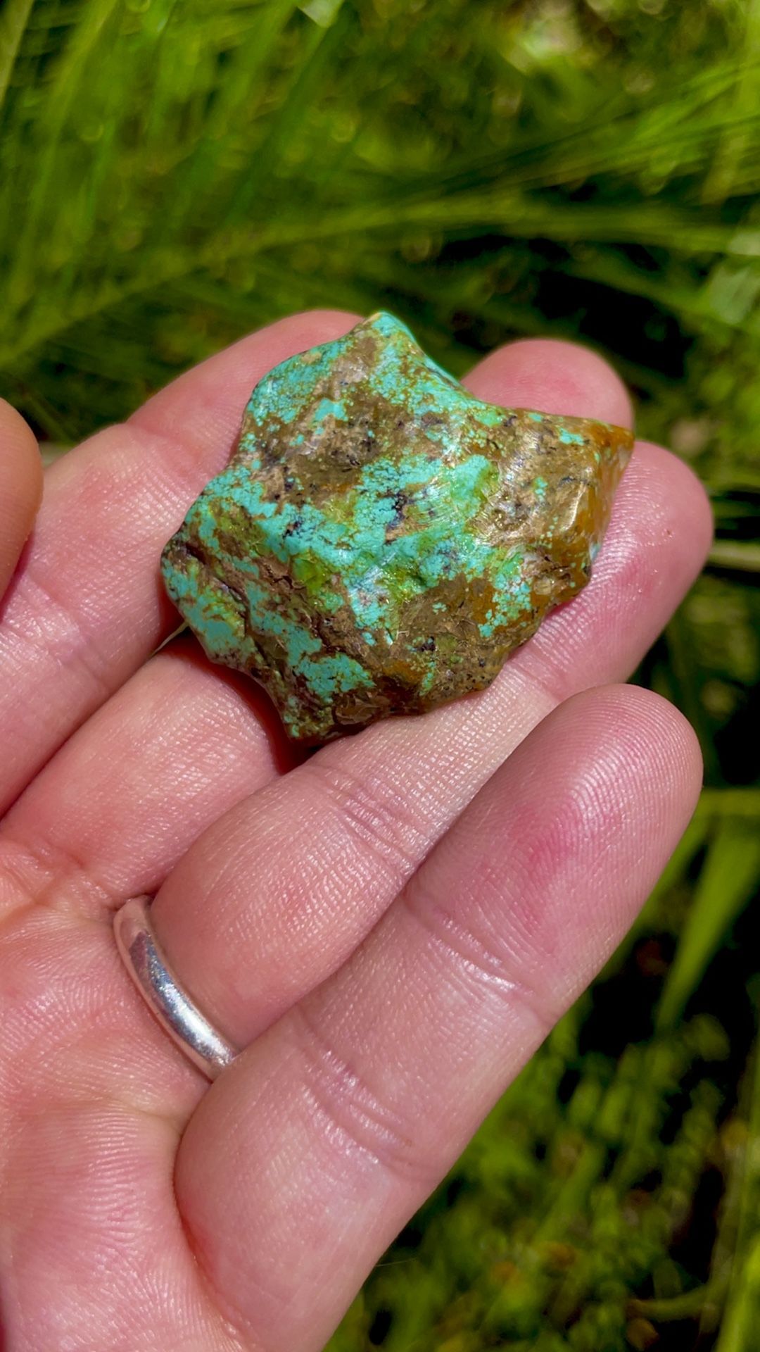 Turquoise