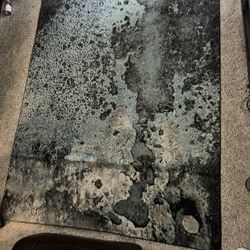 Safavieh Glacier Rug 