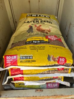 Chicken Feed