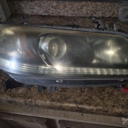 One  headlight for 2013 Honda Accord