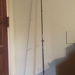 Fishing Rod