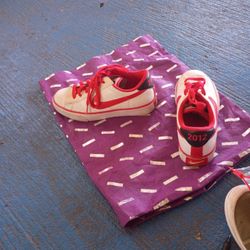 Special Edition Nike Shoes 