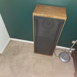 Pioneer  Speaker. Iam  2 Of Them. 40 Dollars A Pice