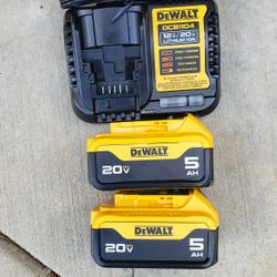 Dewalt 20v Batteries 5.0 Ah And Charger Brand New 