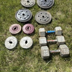 Weight Bench And Free Weights