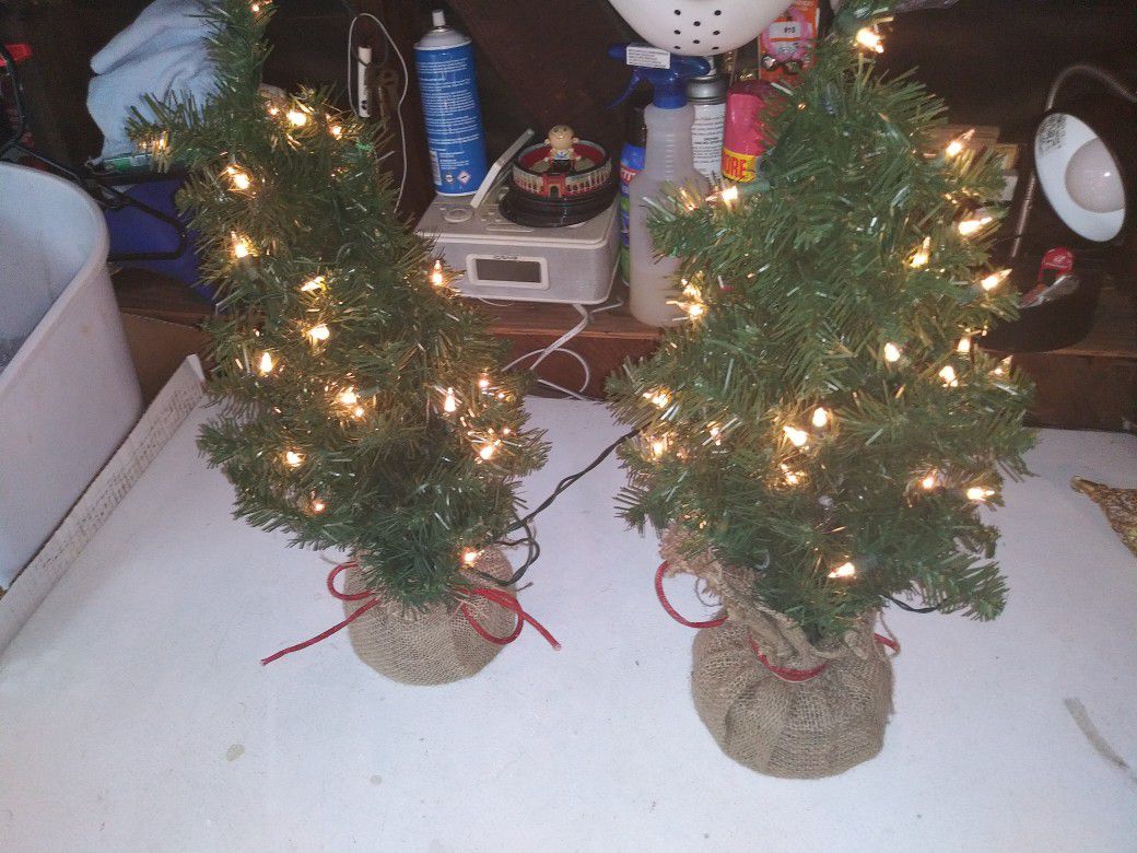 To light up Christmas trees