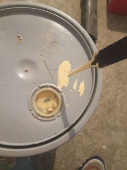 5 gallon interior paint.