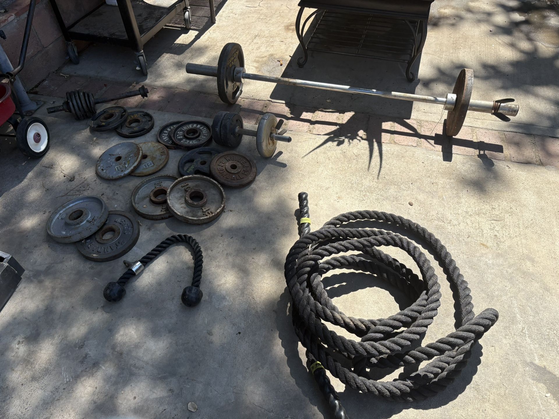 gym weights
