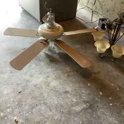 Fan Light And Dinning Room Light