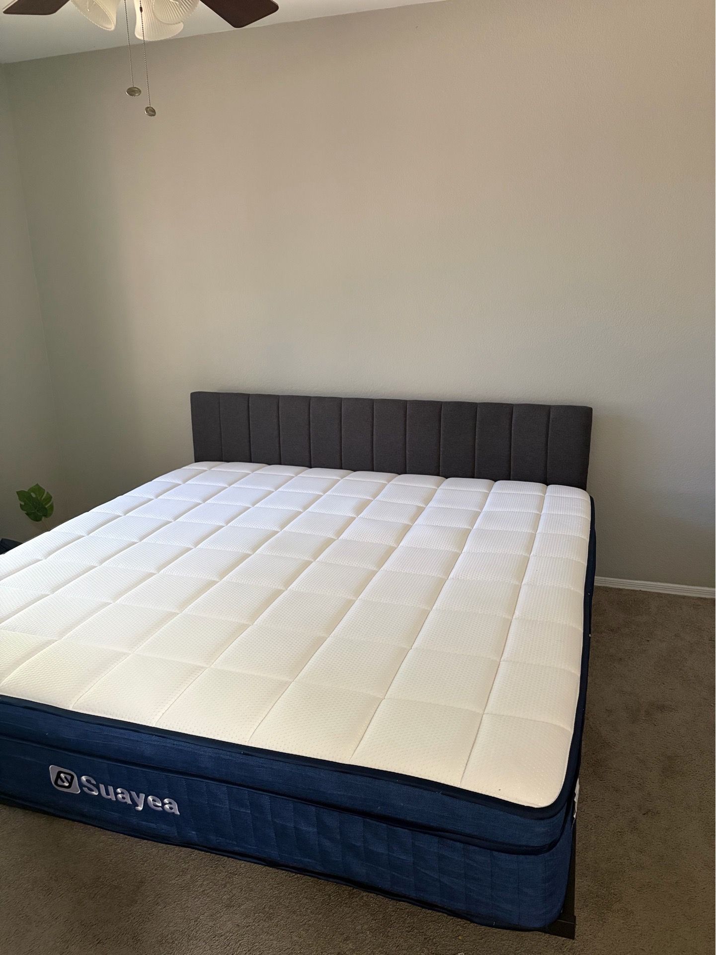**Moving Sale EVERYTHING MUST GO** King Bed/Mattress 12” and Bed Frame