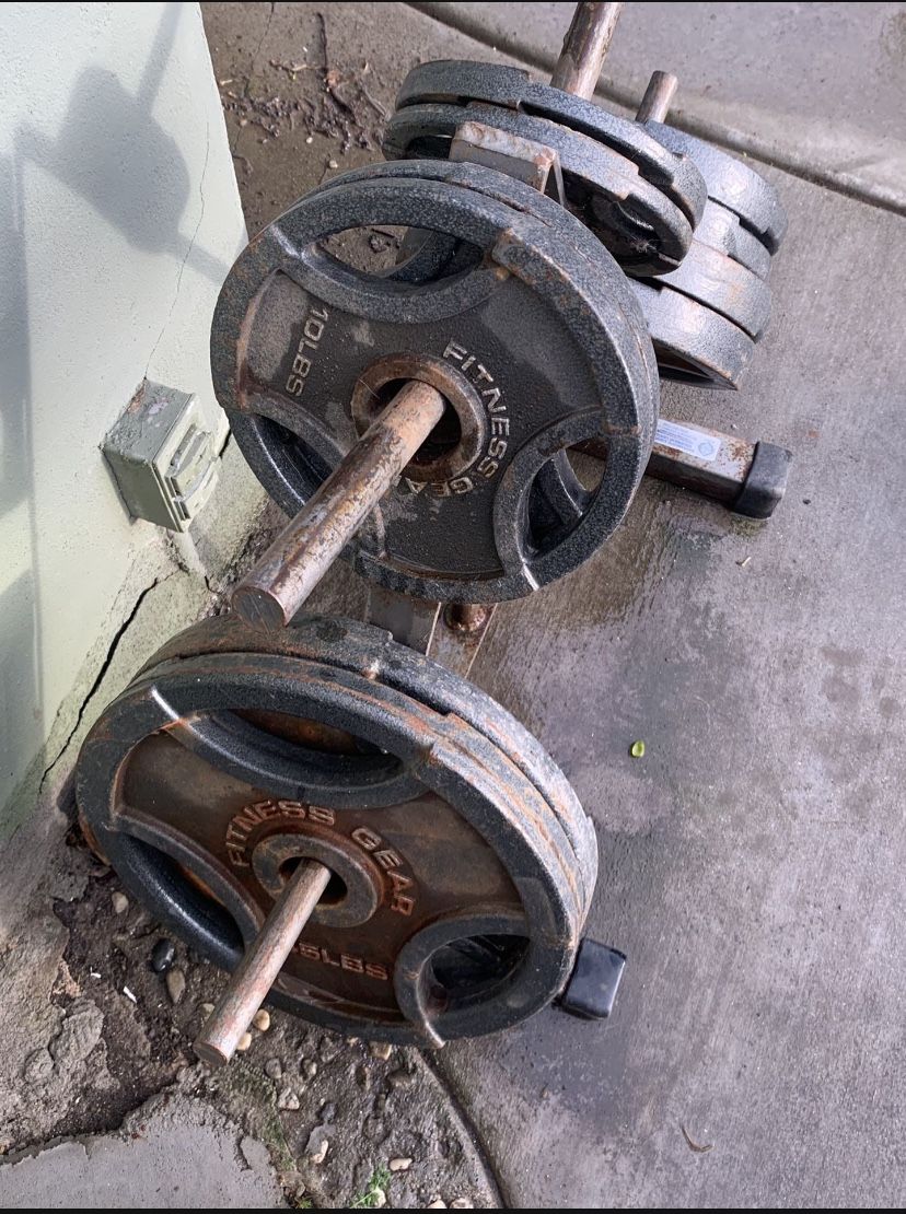 (240 Pounds Of  Fitness Gear Plates)(Plates Are Rusty)(Rack Is Not Included