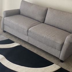 Gray Couch 