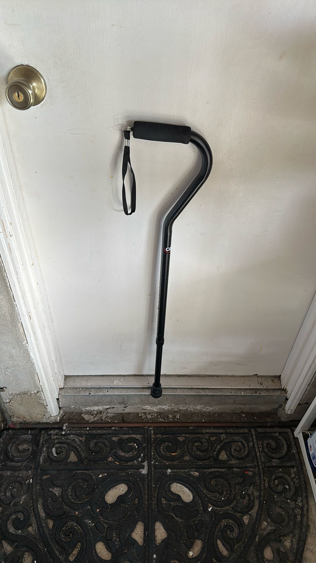 Cane