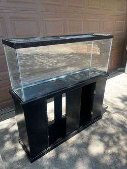 Huge Fish Tank and Table (4ft) - OBO