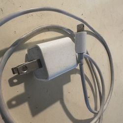iPhone Charger And Wall Adapter (Used)