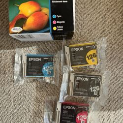 Epson Cartridge Ink 