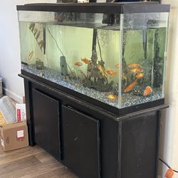Fresh Water Aquarium
