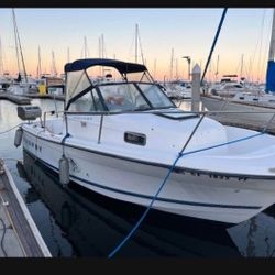1999 Bayliner Trophy Fishing Boat 