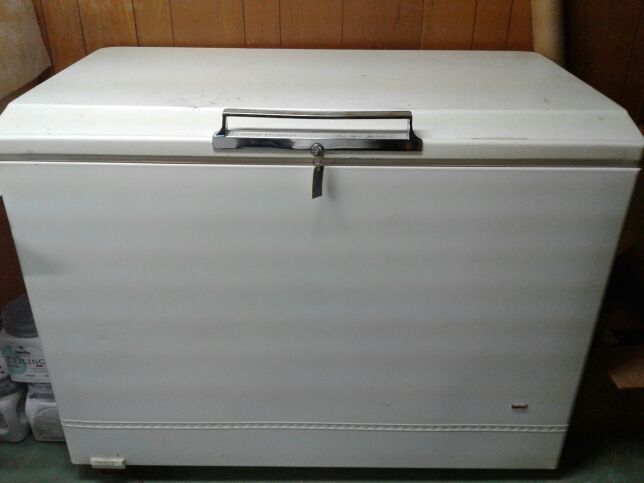 Sears Coldspot Freezer, Flash Defrost Spacemaster, Deep freezer/ freezer chest