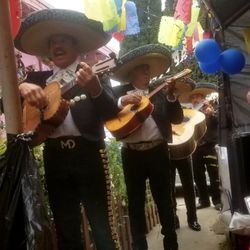 Vihuela De Mariachi
