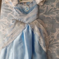 Cinderella Costume