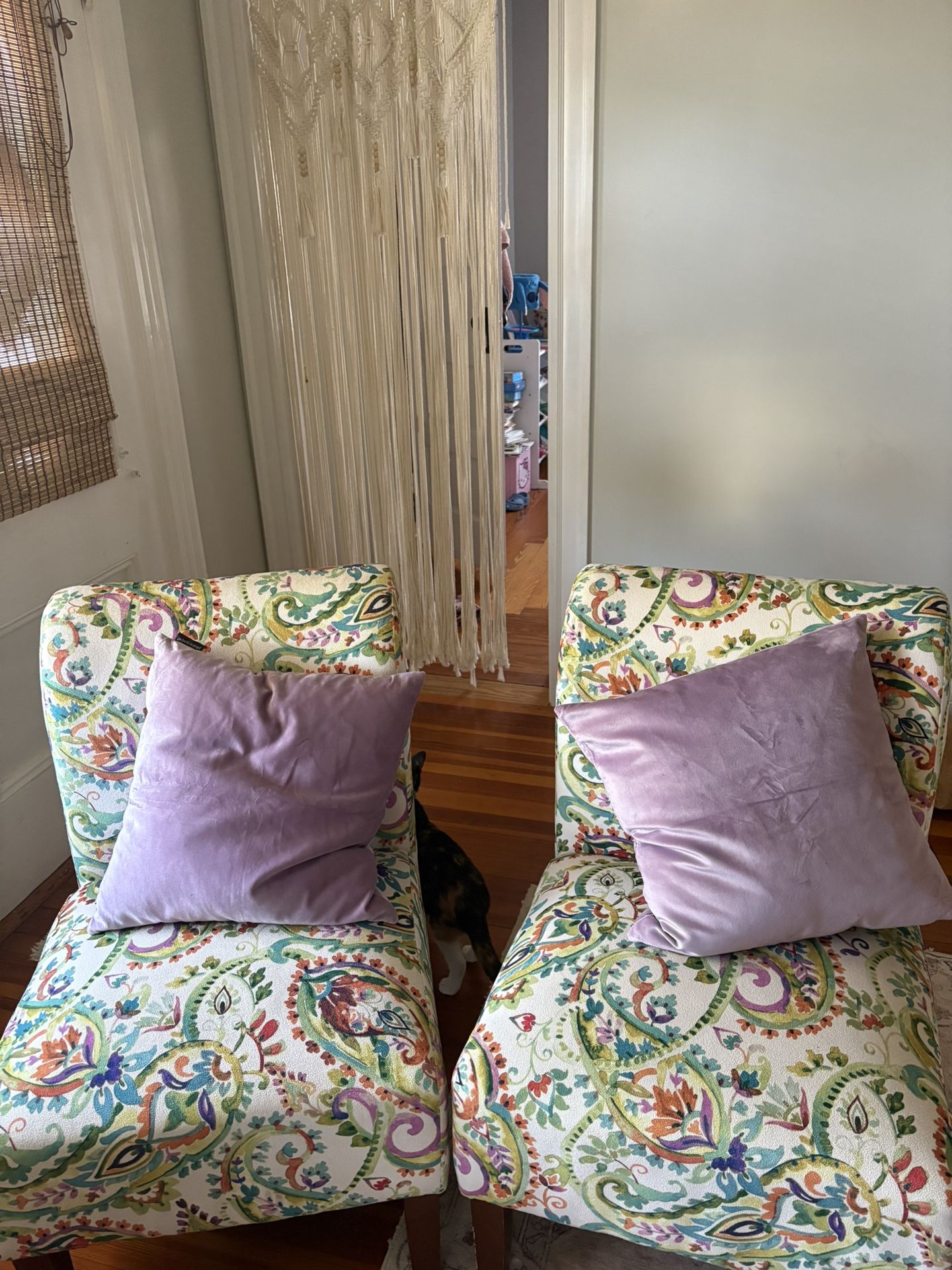 Emma Mason-Paisley Print Chairs