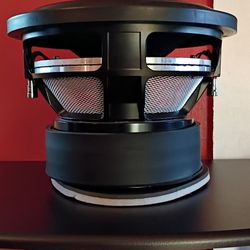 12" Subwoofer 