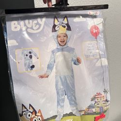 Bluey Costume 