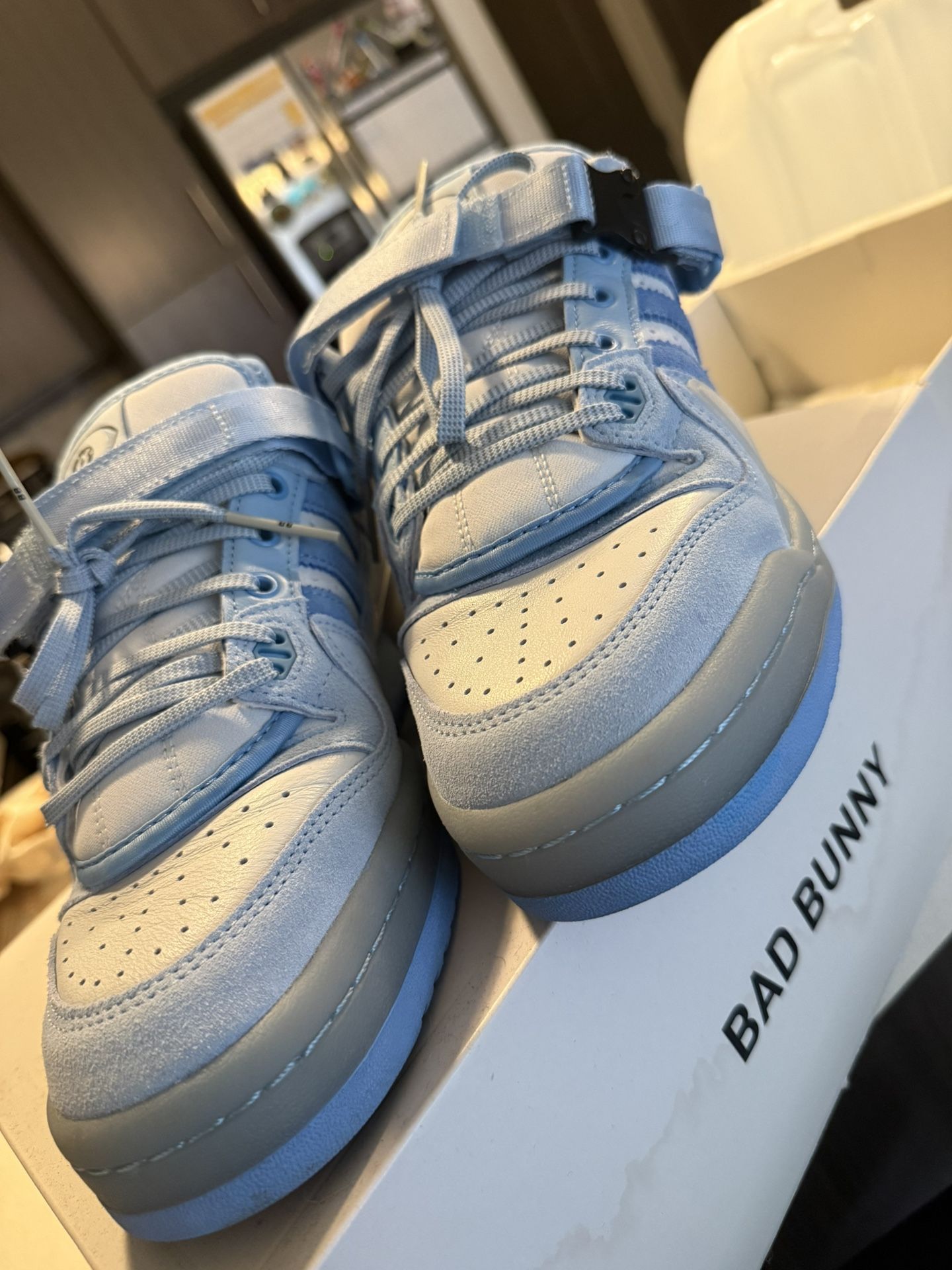 Bad Bunny Forum Blue Tint