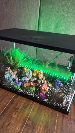 Top Fin® LED Bubble Wall Aquarium Kit fish tank 20 gallons