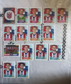 World cup Sticker