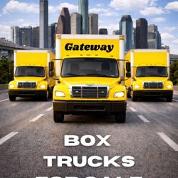 Freightliner/ Hino / International 