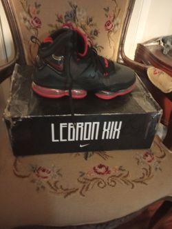 Brand New In Box Lebron Nike