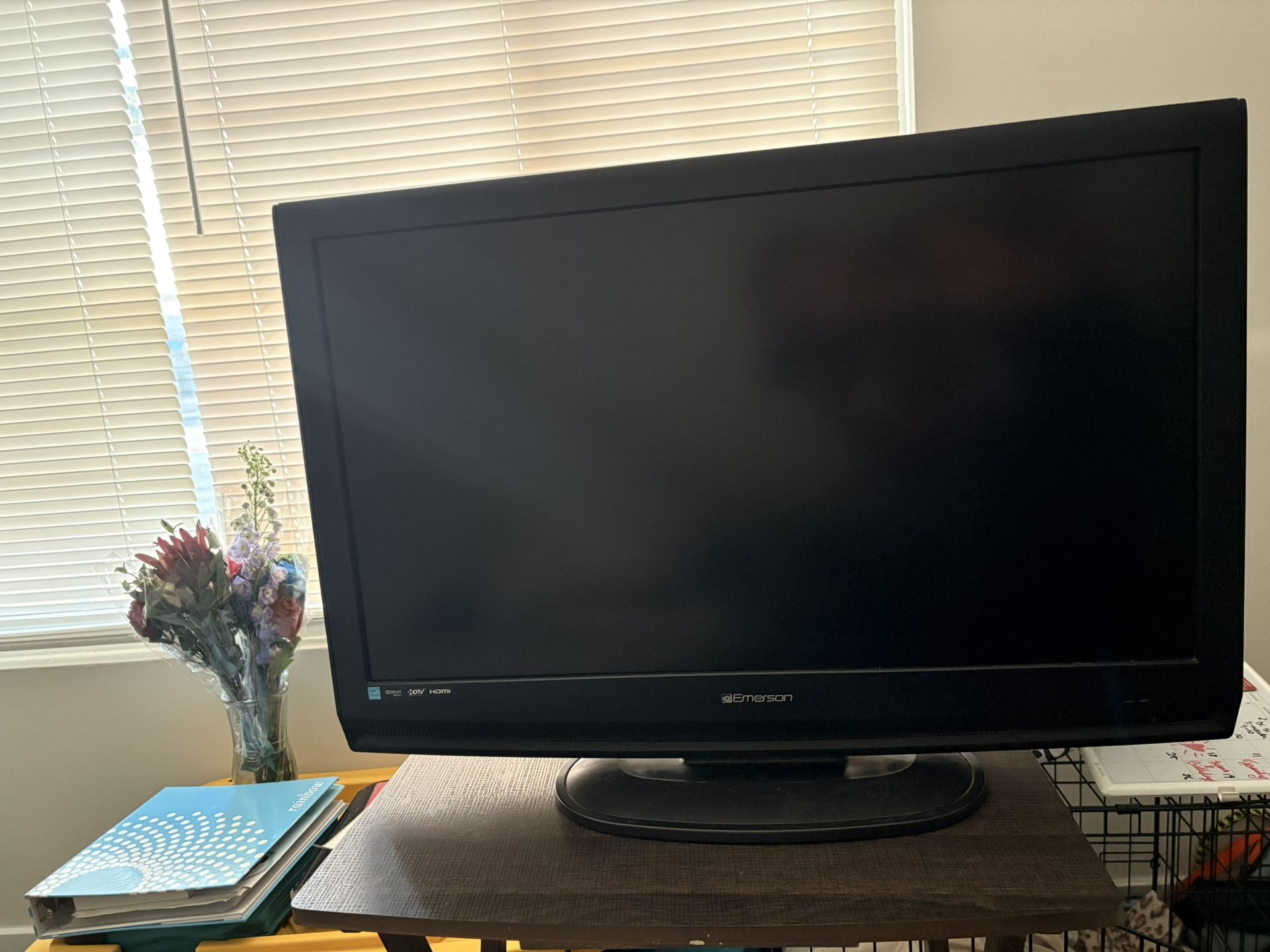 Emerson Brand TV