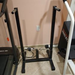 Dip stand home gym exercise fitness workout equipment $50