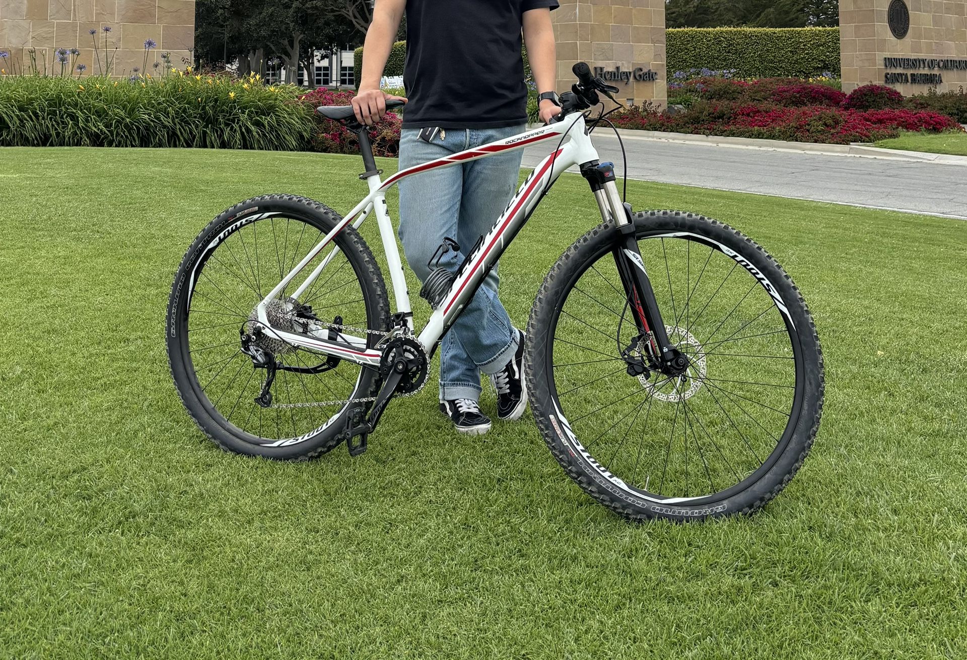 Specialized Rockhopper Comp 29 (Size XL/21)