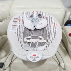 Fisher-Price Infant Baby Bouncer 