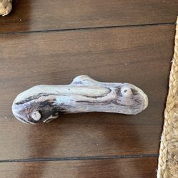 Driftwood- Pacific Coast