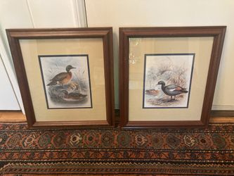 Pair Of Framed Duck Prints