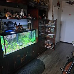 Beteful Intertainment Center  